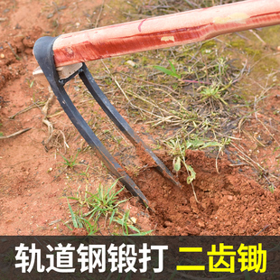 农用手工锻打锄头翻地松土工具种菜家用挖地多功能锰钢二齿锄耙子