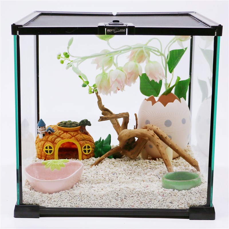 Reptizoo玻璃缸寄居蟹守宫蜥蜴甲虫爬宠爬虫角蛙饲养箱盒造景缸