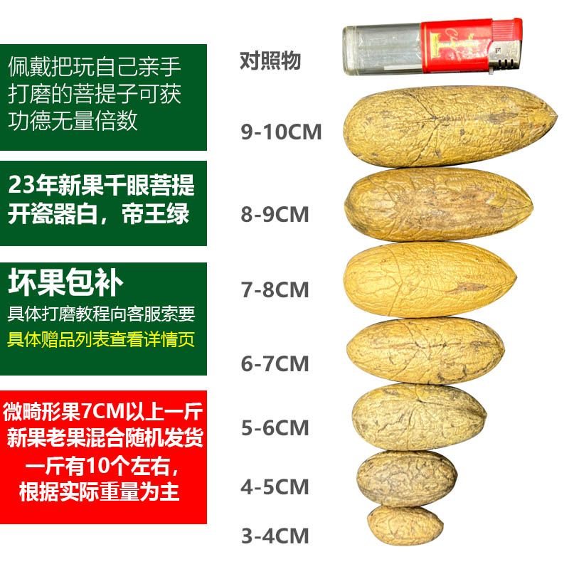 速发精品千眼菩提子原籽原料新果胖果超级大果按斤手把件绿色单颗