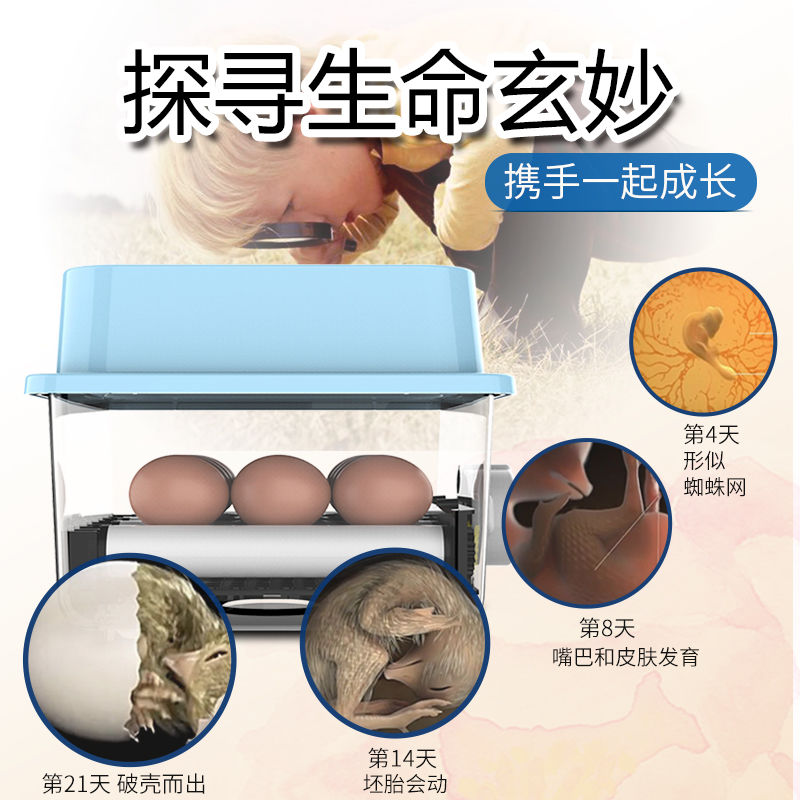 水床化化器家用型孵孵机全自动小型g鸡蛋孵化箱智能小鸡孵蛋器
