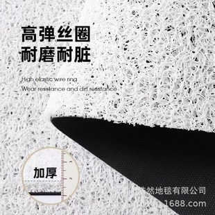 入户门地垫家用玄关大门口pvc丝圈门垫进门N蹭土脚垫防滑地毯垫子