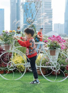 欧式创意摆件饰品家具商场店铺橱窗装饰道具田园铁艺自行车花架子