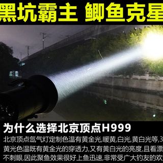 强光氙气钓鱼灯超亮大功率北京顶点暖黄黑坑疝气T灯夜钓灯诱鱼垂