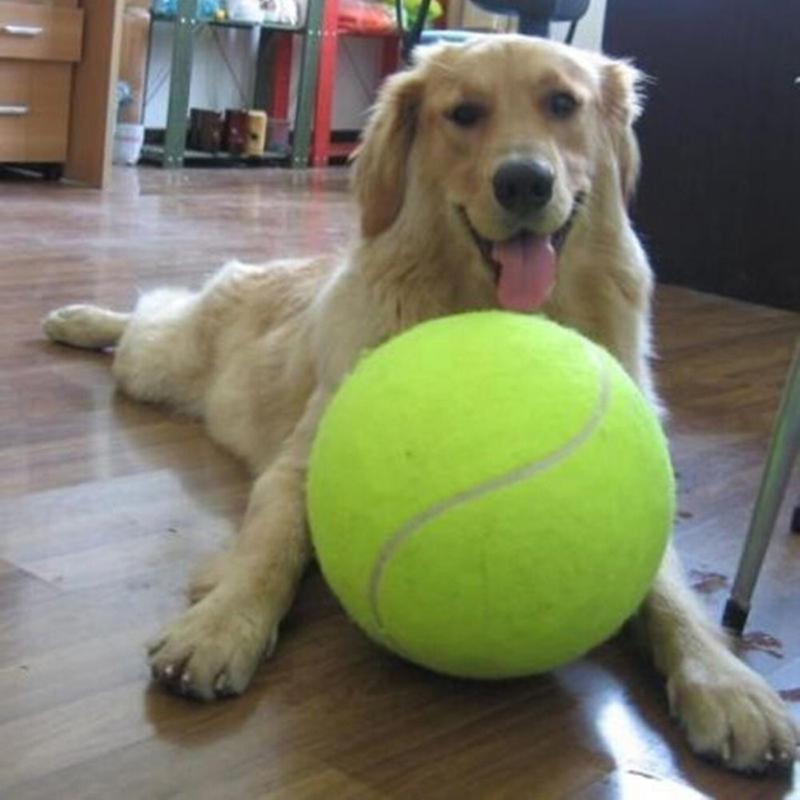 24CM Giant Tennis Ball For Dog Chew Toy Pet Dog Interactive