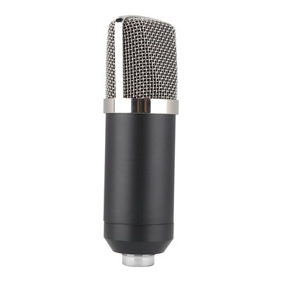 BM-700 Condenser Sound Recording Microphone with 2.5m Audio