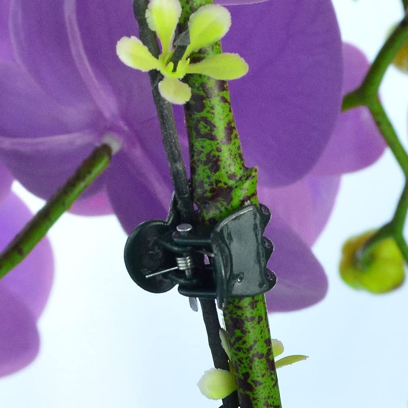 速发Garden Plant Clips Plant Support Clips Grafting Clips Ti-封面