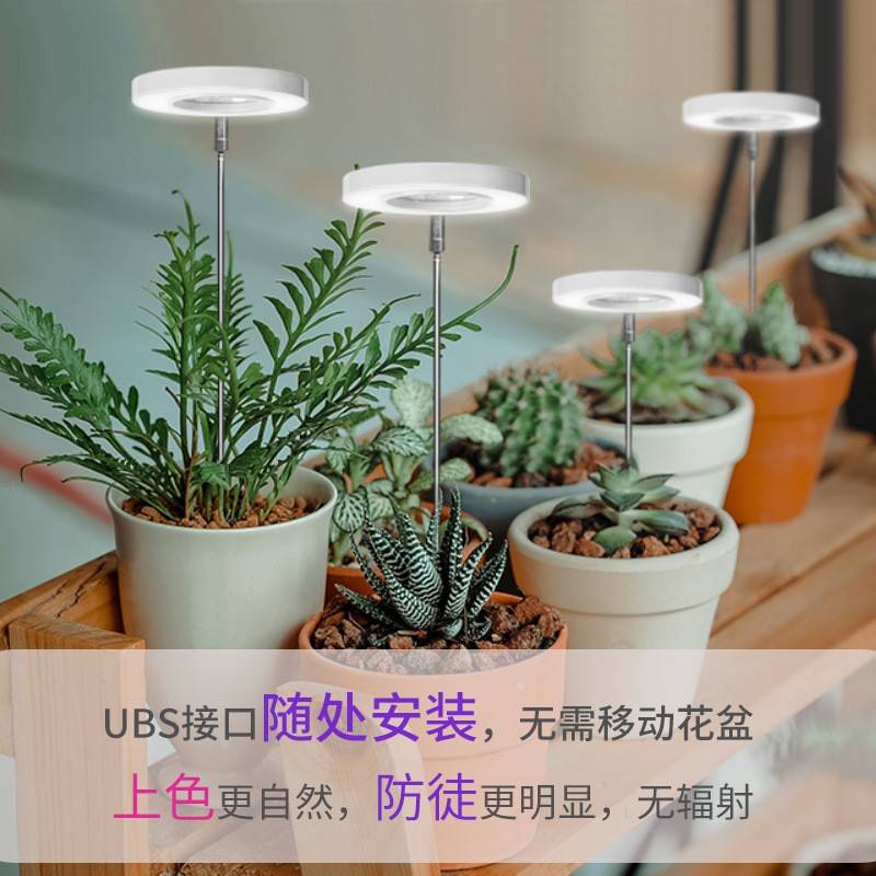 网红全光谱天使环USB植物生长灯定时调光高度伸缩多肉花卉绿植补