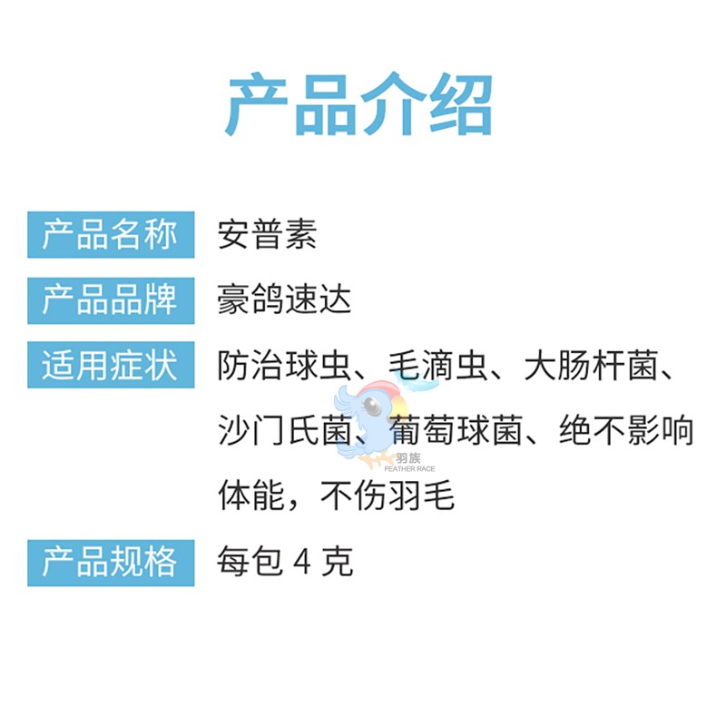 速发荷兰豪鸽安普素四合一鹦鹉鸟类赛鸽子常用备用品-封面