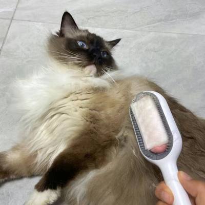 速发Double Sided Hair Removal Brushes for Cat Dog Pet Groomi