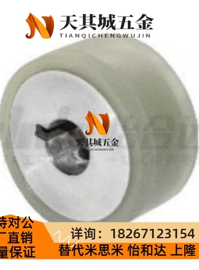 怡和达 QAK21-D20-d8-L20-T3 滚轮 直柱形 带衬层 带键槽螺纹孔型