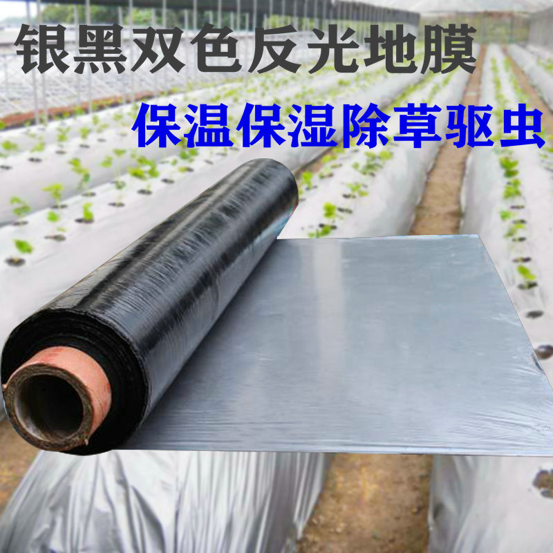 银黑地膜双色反光除草地膜农用黑白地膜保温保湿薄膜果园蔬菜大棚