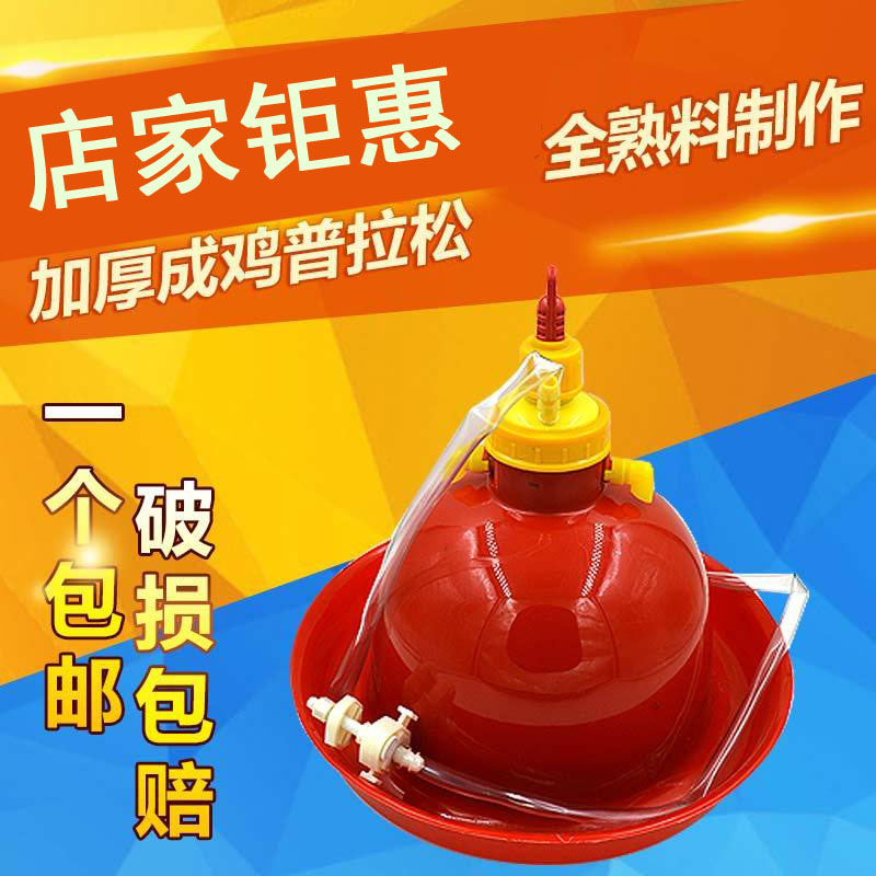 鸡水桶水槽饮水壶小鸡饮水器新款自动饮水壶养P鸡设备专用养鸡用