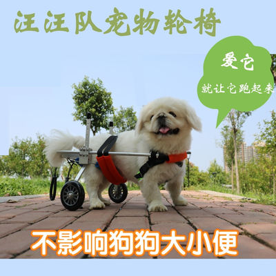 狗轮椅宠物瘫痪支架狗后肢残疾代步车小型犬残疾车脊椎辅助车泰迪