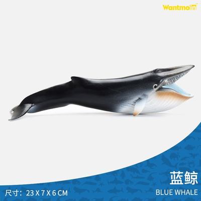 推荐Wantmoin model simulation ocean animal model toys solid