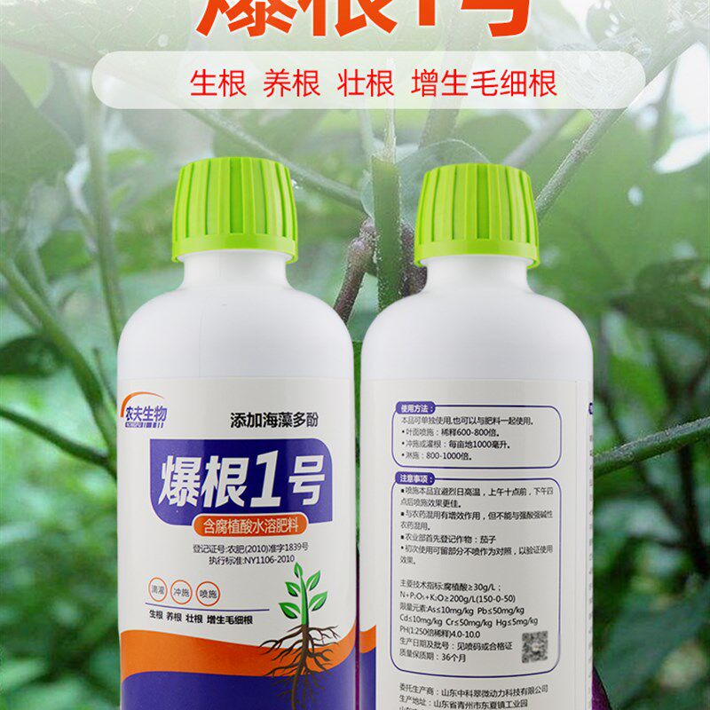 速发爆根1号海藻肥有机水溶肥料生根壮根剂生根水溶肥冲施肥农用