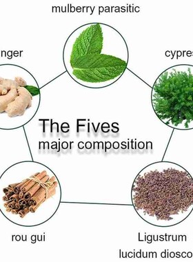 500ML Anti Hair Loss Shampoo Hair Growth Plant Essence Natu