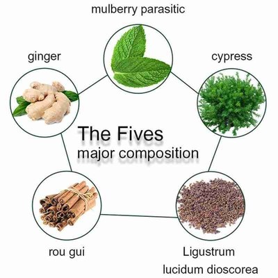 500ML Anti Hair Loss Shampoo Hair Growth Plant Essence Natu