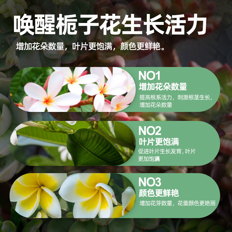 现货栀子花肥料i专用肥喜酸性植物专用营养液叶子发黄促开花养护