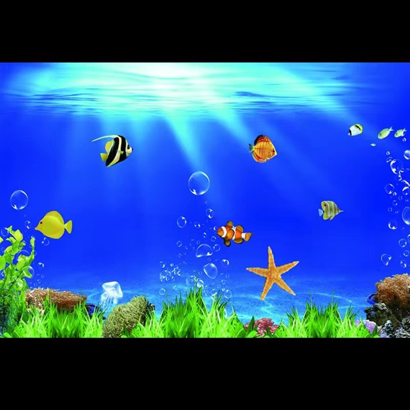鱼缸背景贴纸壁纸高清图3D立体画海底世界背景画水族箱造景装饰画