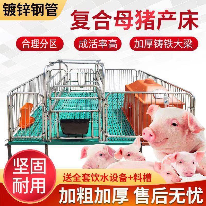 猪用产床加厚一整套两用单体产保一体母猪复合保育床猪专用设备