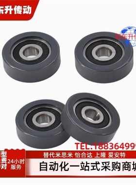 BTLC-A3 4 5 6 8 10 15-D12 13 16 20 28 30 40 45聚氨酯成形轴承