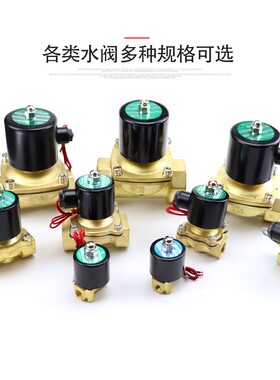 2W250-25 AC220V DC24V DN25 1寸黄铜 二位二通电磁阀 吹气阀水阀