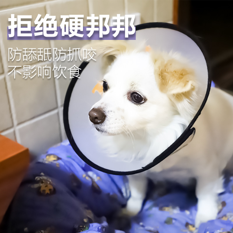 狗狗项圈伊丽莎白圈防咬防舔猫A咪小型犬大型犬脖圈宠物头套用品