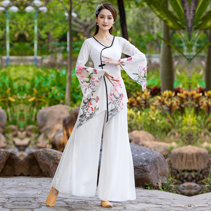 小众高货古典舞蹈练功汉服中国民族风荷花纱袖广场舞服装新款演出