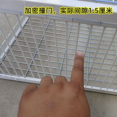 天落笼户外家用屋顶只进不出鸽子笼活络撞门信鸽自动门进鸽子神器