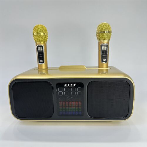 SD318蓝牙音箱双喇叭双无线x麦克风手机电视娱乐唱K歌卡拉OK一体