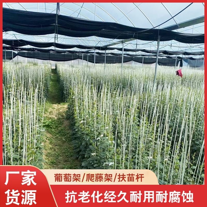 植物支撑杆种菜杆子豆角搭架杆茄子芸豆西红柿黄瓜育苗玻璃钢架子图片