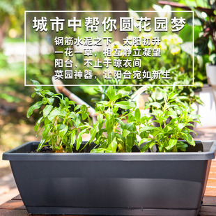 种菜盆阳台大号长方形家庭种植专用懒人家用蔬菜盆栽神器塑料花盆