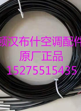 全新顿罕布什空调温度传感器E020089 顿汉布什配件大全 感温探头