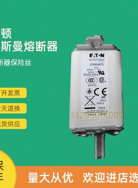 全新快速熔断器保险170M2077 170M2608 170M2609 170M2610