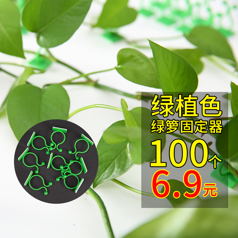 绿萝爬墙上花神器绿植固定器绿箩家用无痕卡扣绿枝爬藤杆夹子挂钩-封面