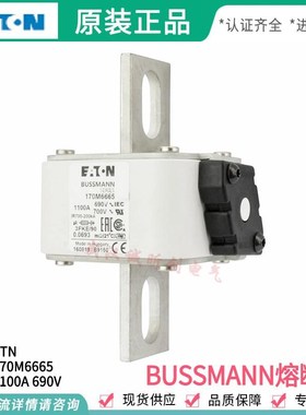 熔断器170M6615 170M6665 170M6715 170M6765 690V 1100A