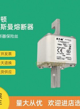 全新快速熔断器保险170M4062 170M4063 170M4064 170M4065