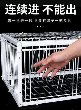 捉神器加密鸽子笼捕捉笼只进不出天落笼撞门笼全自动户外收