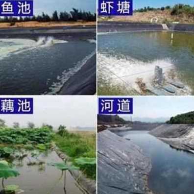 厂销新品蓄水池膜复合g工n业w布厚防z水保环EG加订制藕池土工膜库