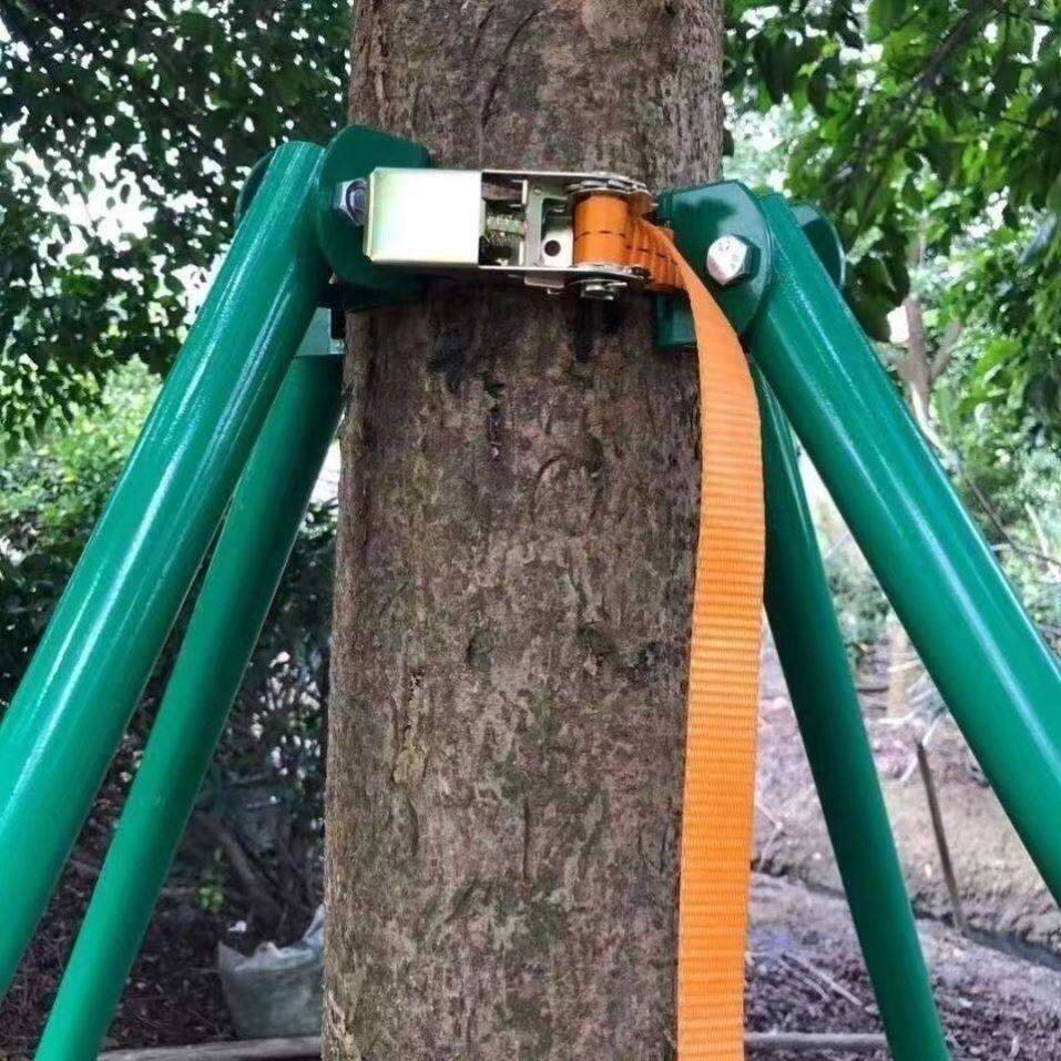 钢管树木支撑架镀锌绿化园艺支伸缩杆金属防风固定器抱箍烤漆