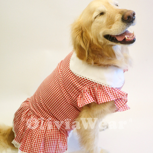 可爱的小裙子 新品金毛大型犬薄款夏季透气纯棉连衣裙大狗衣服