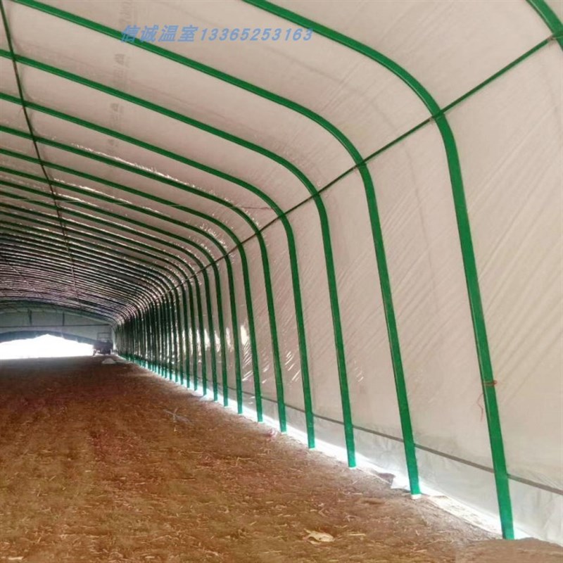 全套养殖蔬菜种植温室大棚钢管骨架农业连栋大棚圆管椭圆管定制