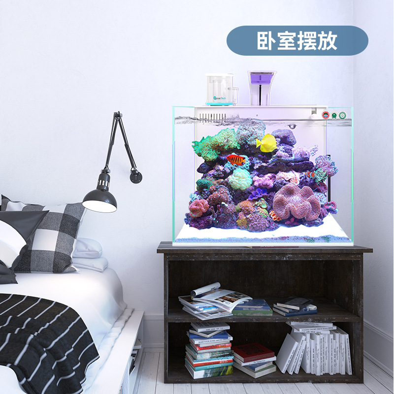 背部自循环过滤静音海水缸卧室客厅家用小型海水缸免换水海水鱼缸