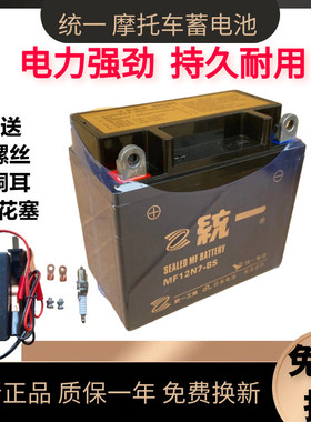 统一125骑跨机车电瓶12V7AH蓄电池助力滑板车乾电池免维护12V9A