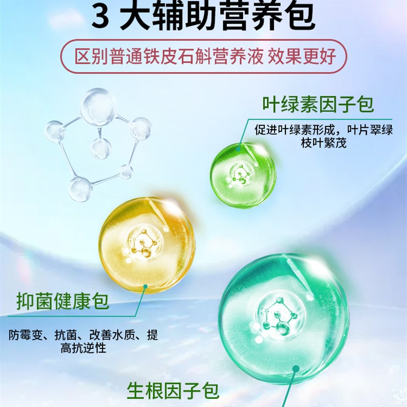 铁皮石斛专用肥料营养液霍山石斛种植苗专用花肥料盆栽通用型室内