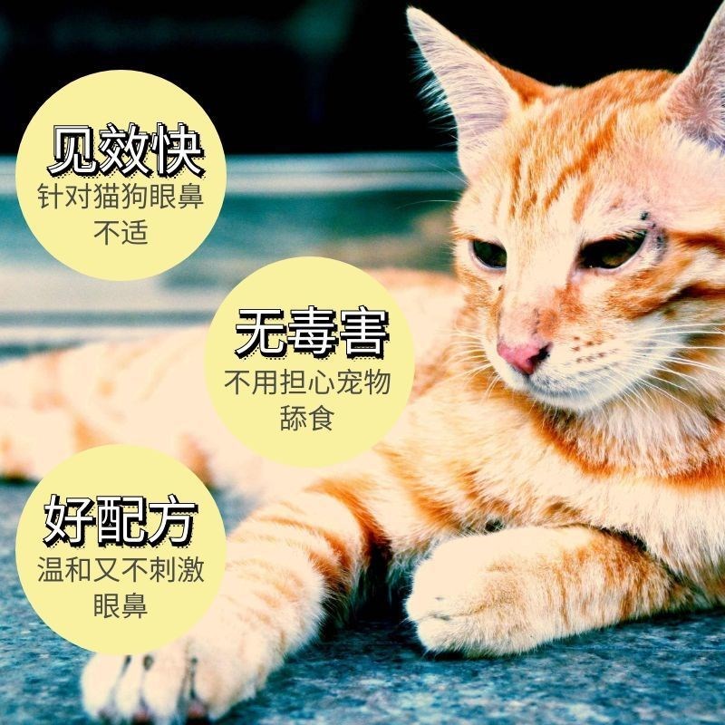 厂家猫鼻支宠物眼用滴剂妥布霉素滴眼液典必殊托百士代