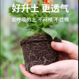 栽花土蓬松透气营养土养花v通用专用种花土壤园艺土泥土家庭种植
