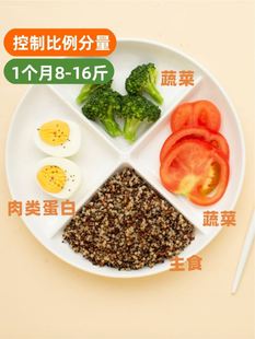 高级感分格餐盘大人减肥专用比例定量碗具211减脂餐盘一人食家用