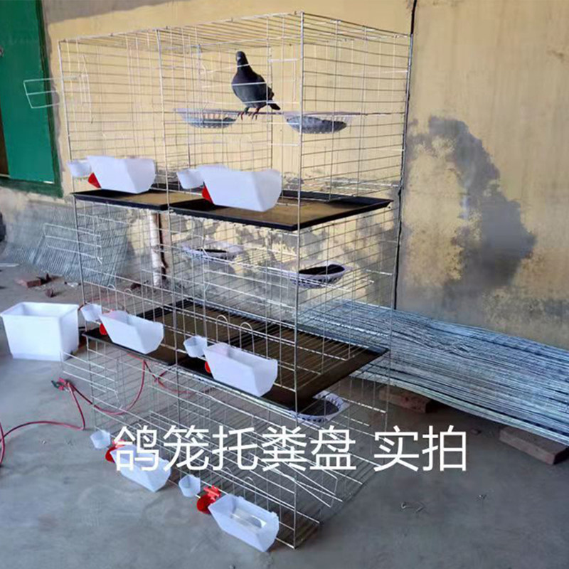 鸽子笼接粪盘接粪板塑料加厚粪托养殖漏粪托盘鸟笼托盘鸽子接屎盘