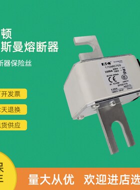 全新快速熔断器保险170M6799 170M6800 170M6801 170M6802